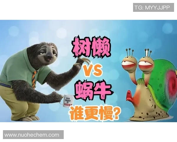 费与在线直播视频的较量：谁能更好满足用户需求与体验